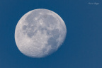 2022.11.11 - 030 "Morning Moon"